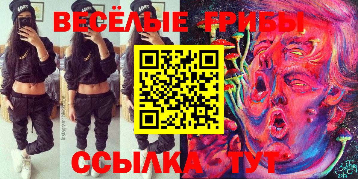Галлюциногенные грибы Psilocybine cubensis  Галлюциногенные грибы Cubensis  Новоалександровск  Вход с VPN 